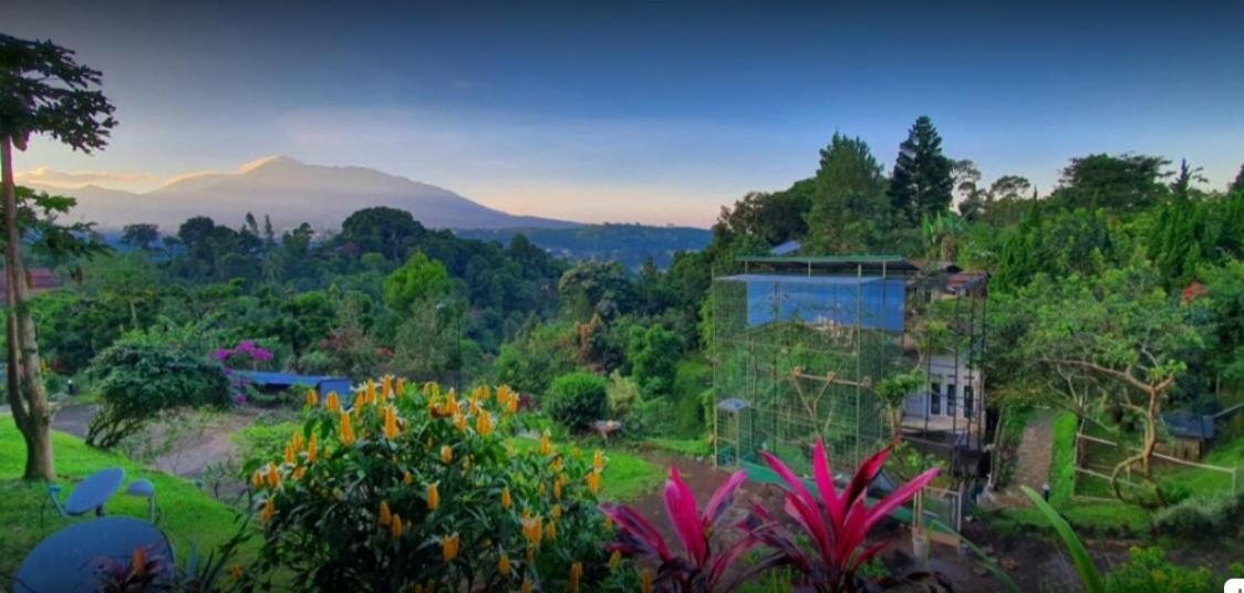 Villa Chacha At Macarena, Megamendung エクステリア 写真