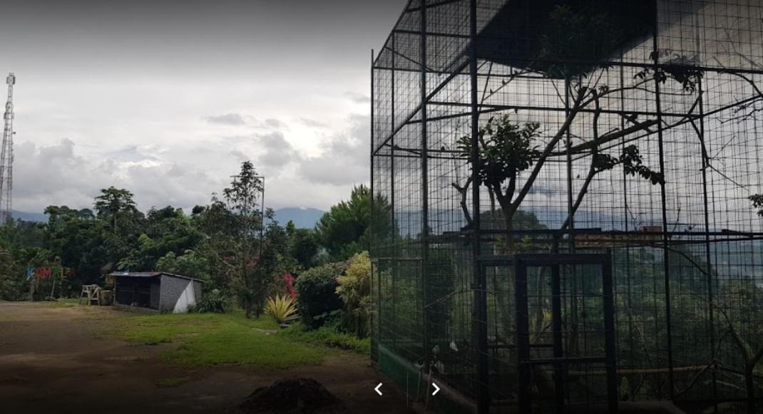 Villa Chacha At Macarena, Megamendung エクステリア 写真