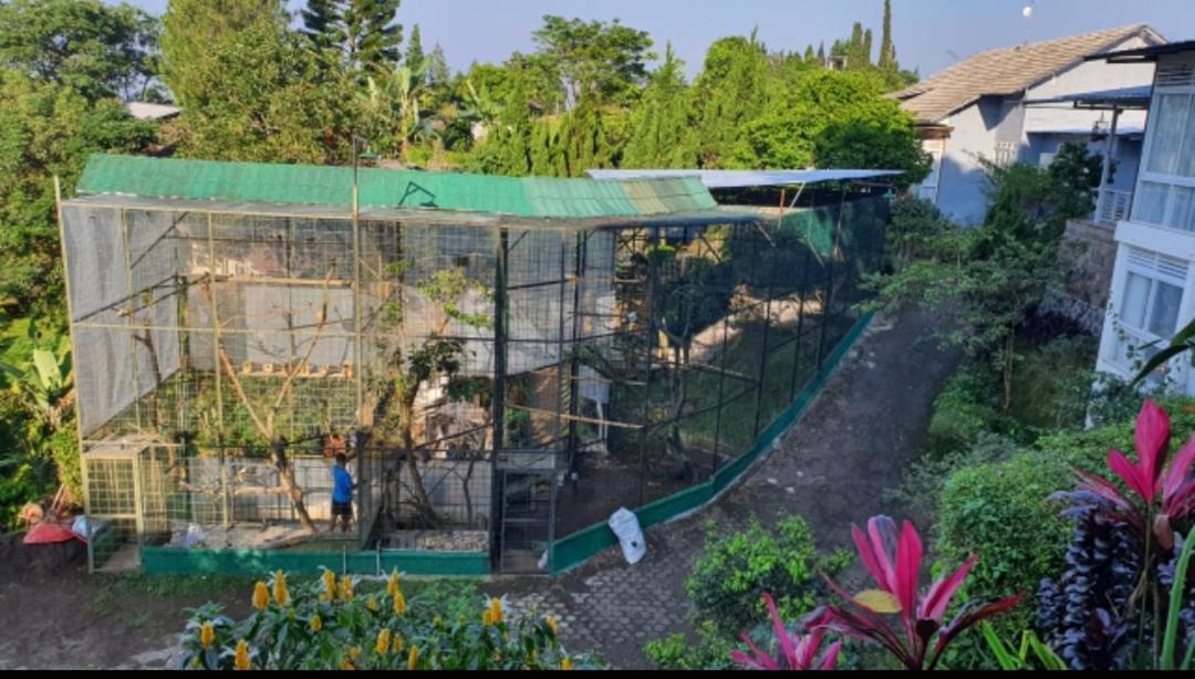 Villa Chacha At Macarena, Megamendung エクステリア 写真