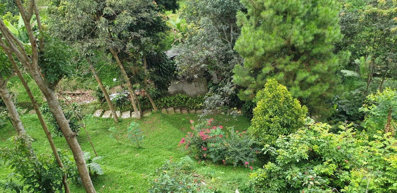 Villa Chacha At Macarena, Megamendung エクステリア 写真